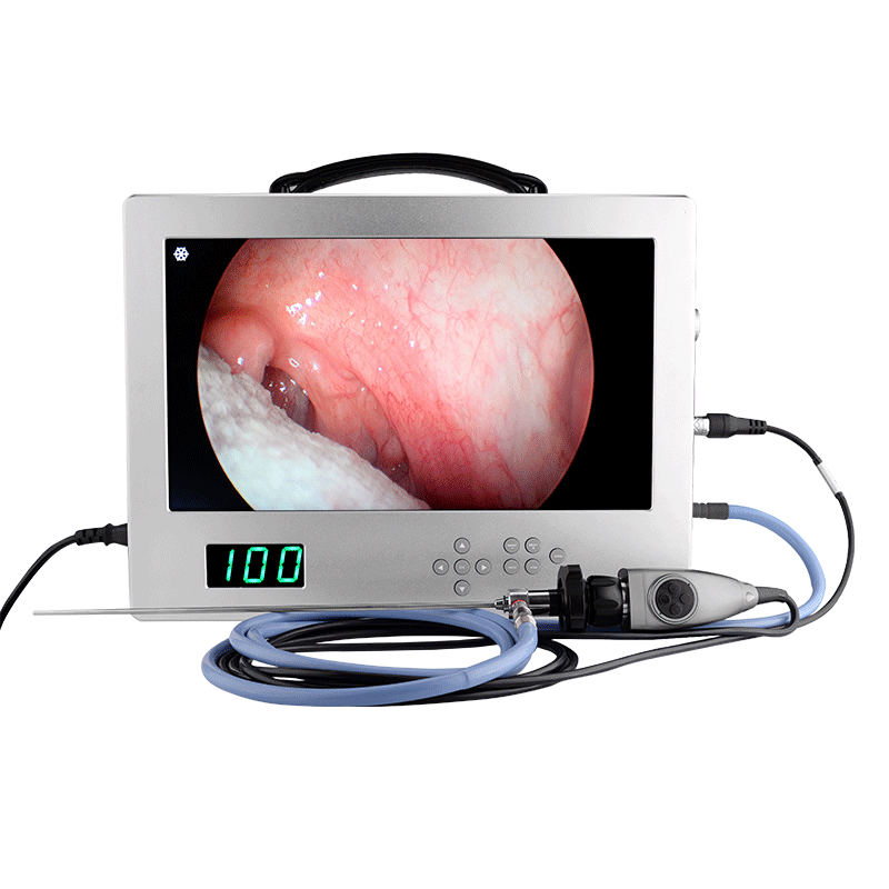 Système de caméra endoscopique 4K tout-en-un